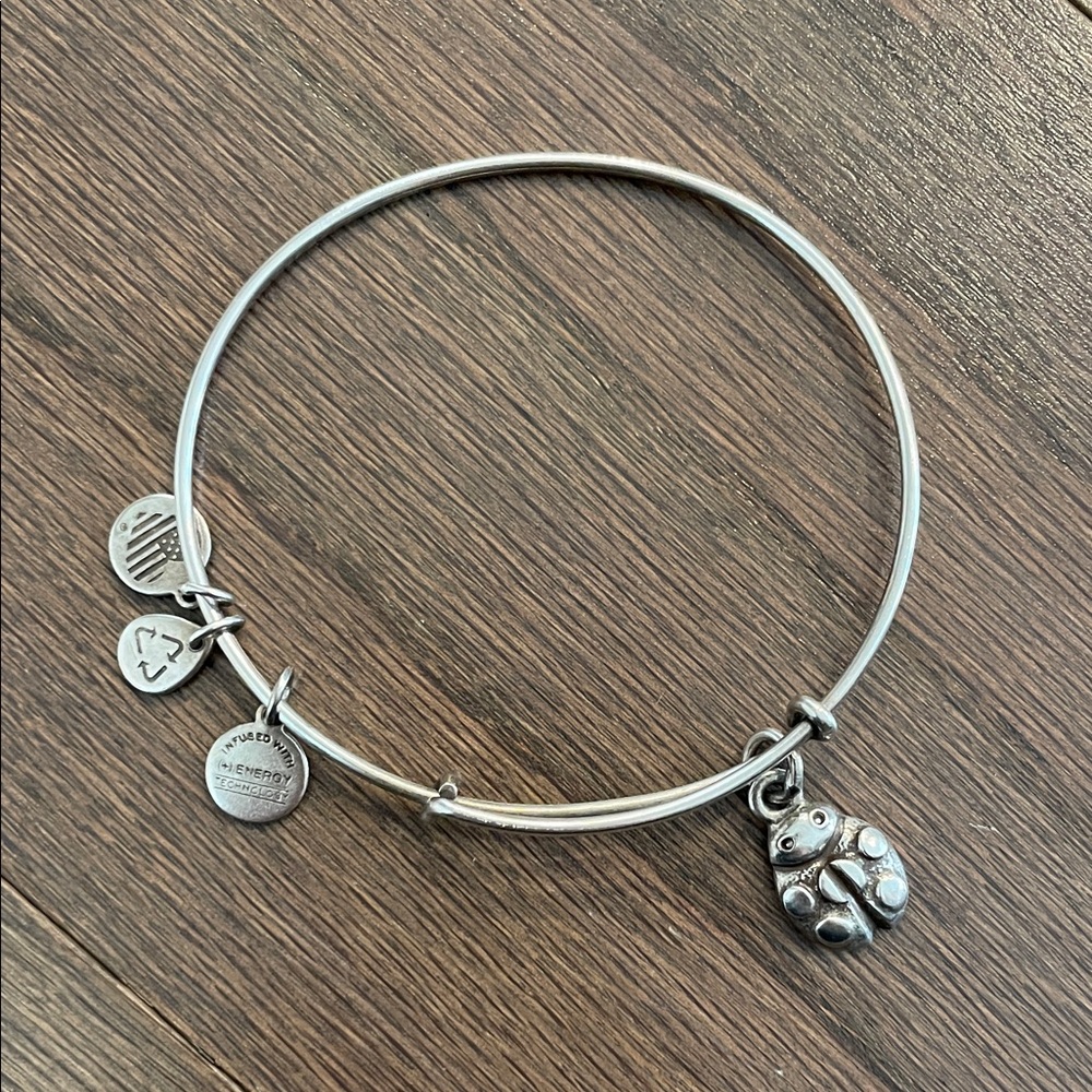 Alex and Ani Ladybug Bracelet